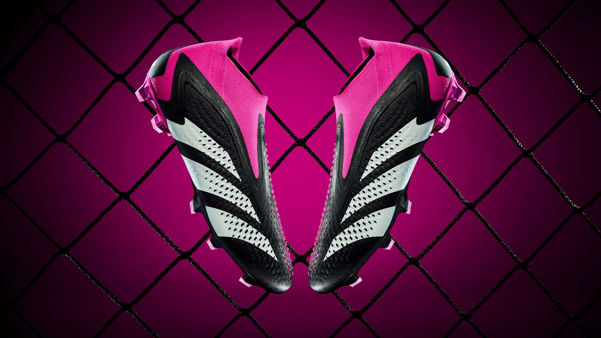 更多的选择 更多的选择